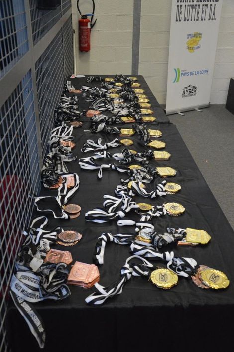 12672092_853463528098366_1359237895945838141_o